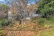 Photo - 7 Bonwick Place, Garran ACT 2605 - Image 3