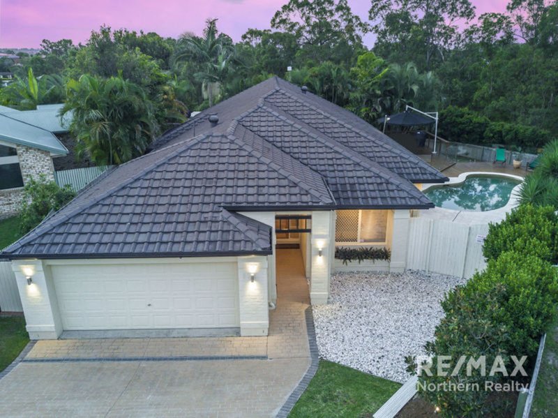 Photo - 7 Boree Court, Albany Creek QLD 4035 - Image 6