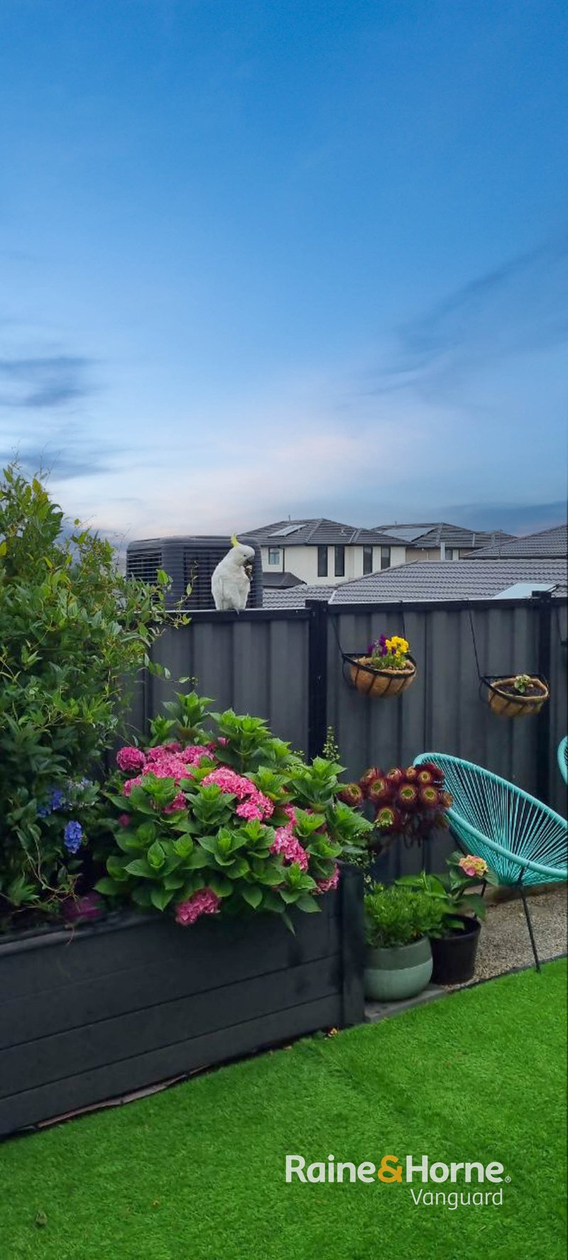 Photo - 7 Braveheart Grove, Mernda VIC 3754 - Image 24