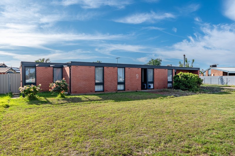 Photo - 7 Brinkley Road, Murray Bridge SA 5253 - Image 1