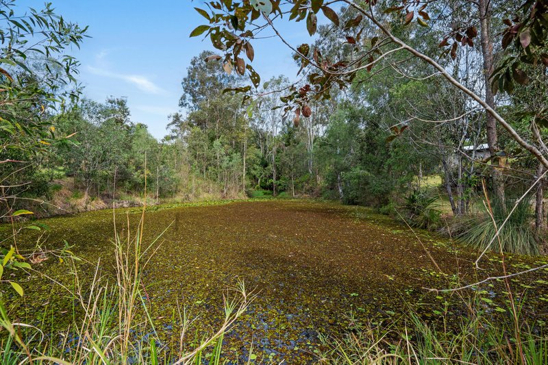 Photo - 7 Brunswick Place, Wights Mountain QLD 4520 - Image 34