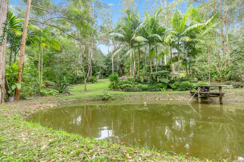 Photo - 7 Bushman Court, Pomona QLD 4568 - Image 20