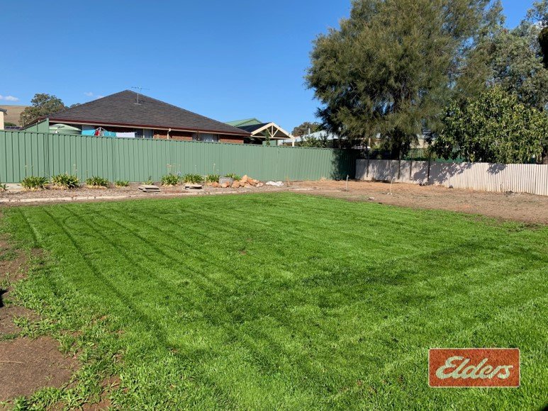 Photo - 7 Carlisle Street, Williamstown SA 5351 - Image 17