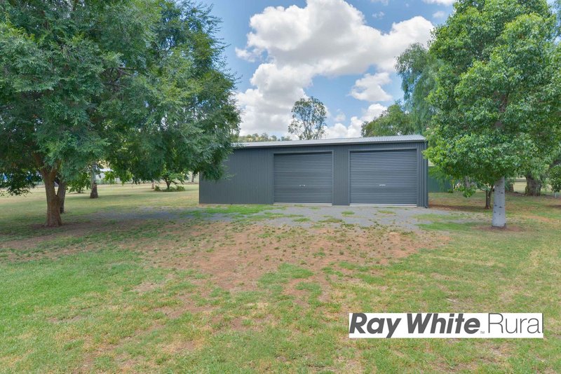 Photo - 7 Carrai Close, Tamworth NSW 2340 - Image 13