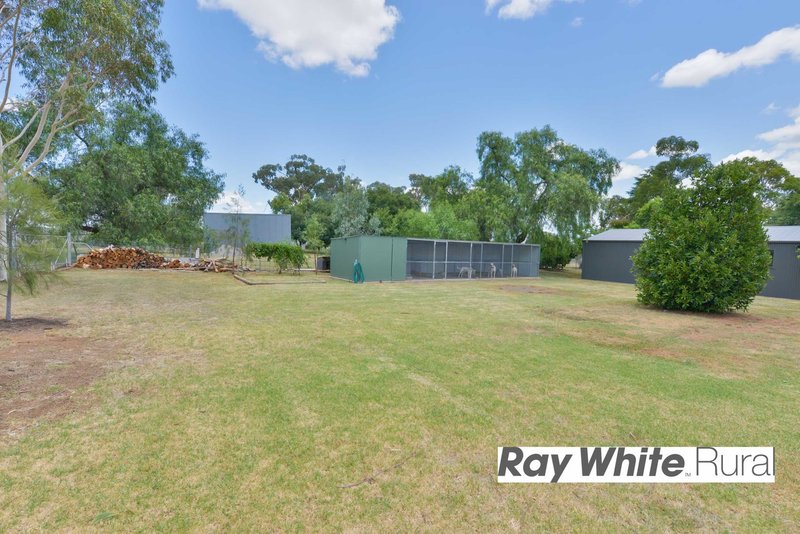 Photo - 7 Carrai Close, Tamworth NSW 2340 - Image 18