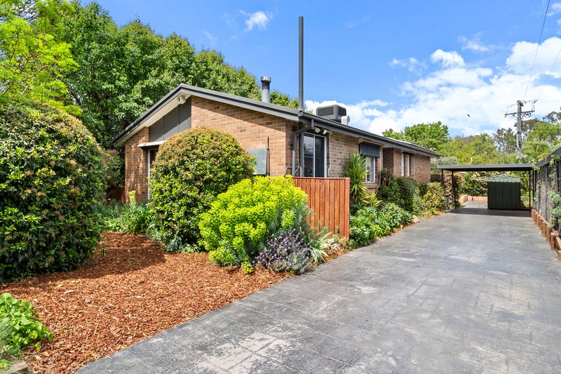 Photo - 7 Cassinia Street, O'Connor ACT 2602 - Image 1