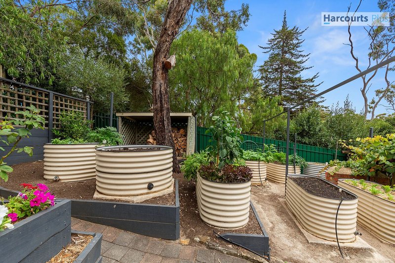 Photo - 7 Catharina Street, Flagstaff Hill SA 5159 - Image 23