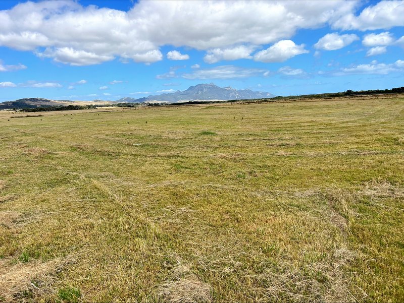 Photo - 7 Chalky Lane, Whitemark TAS 7255 - Image 5