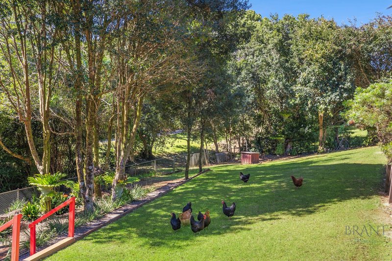 Photo - 7 Cirrus Place, Flaxton QLD 4560 - Image 21