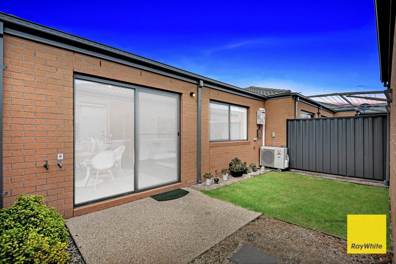 Photo - 7 Colias Walk, Tarneit VIC 3029 - Image 14