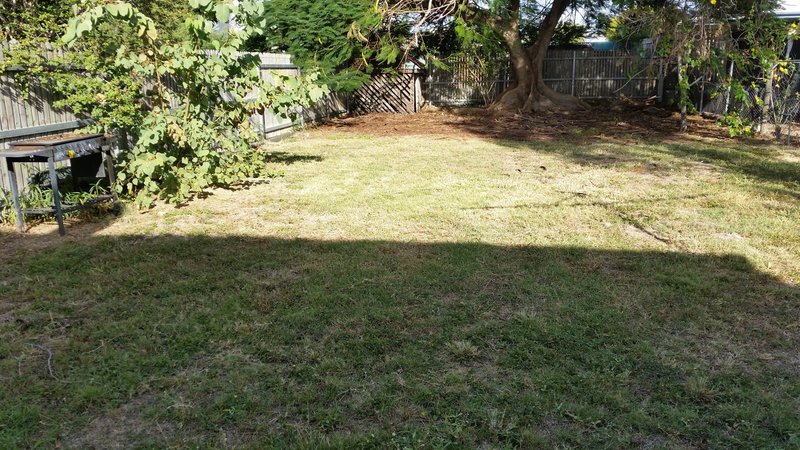 Photo - 7 Connolly Street, Allenstown QLD 4700 - Image 7