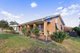 Photo - 7 Cox Avenue, Forest Hill NSW 2651 - Image 5