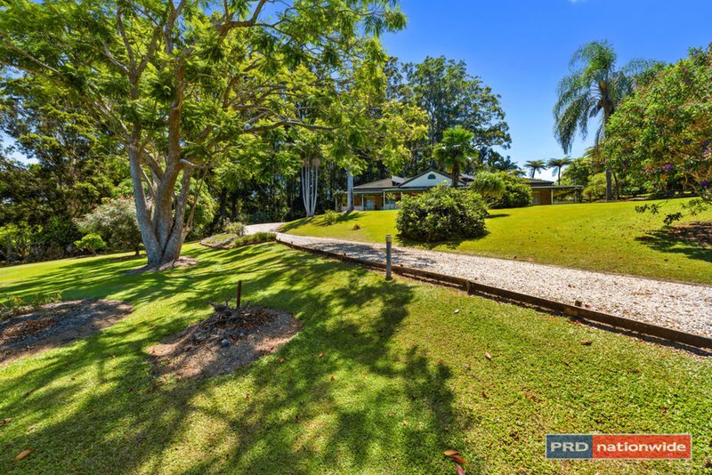 Photo - 7 Crestani Place, Boambee NSW 2450 - Image 3