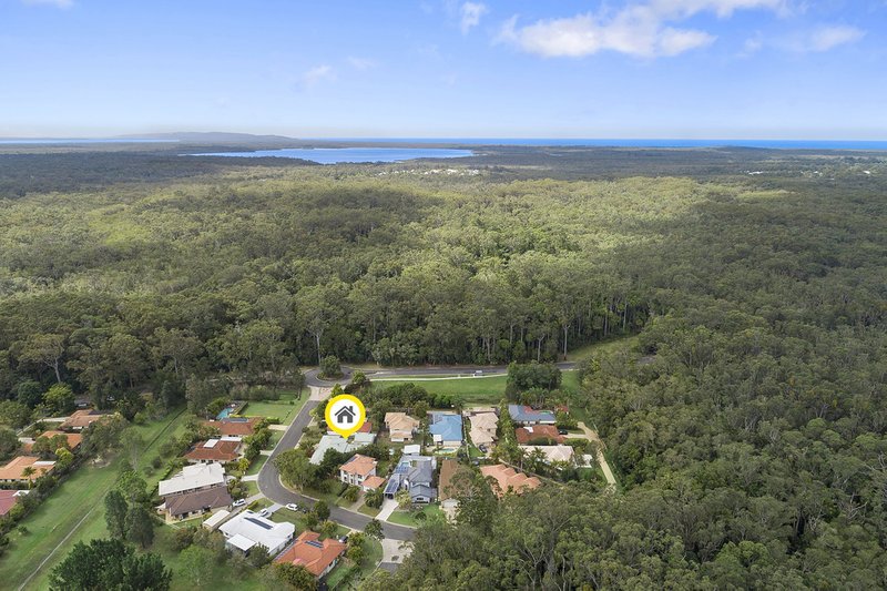 Photo - 7 Daintree Way, Tewantin QLD 4565 - Image 10