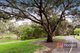 Photo - 7 Diosma Crescent, Lockleys SA 5032 - Image 16