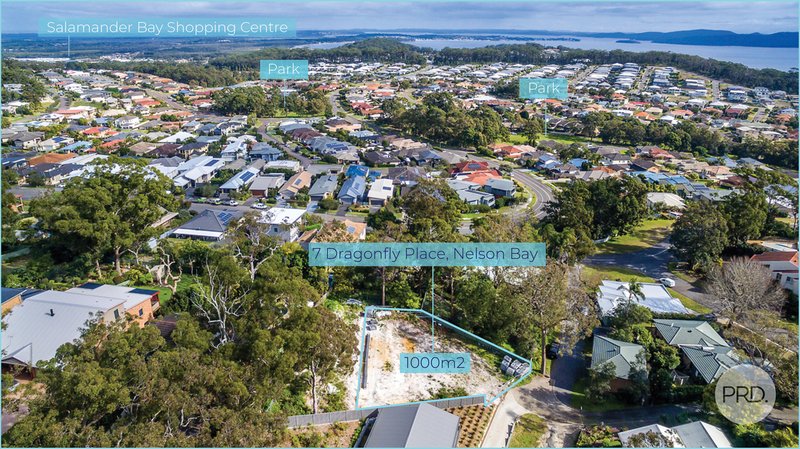 Photo - 7 Dragonfly Place, Nelson Bay NSW 2315 - Image 1