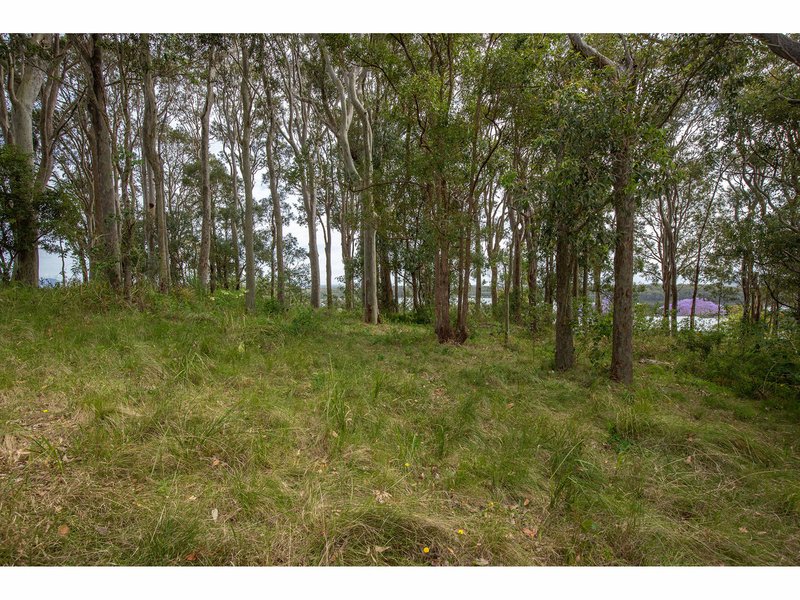 Photo - 7 Elanora Street, Coomba Park NSW 2428 - Image 4