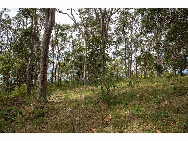 Photo - 7 Elanora Street, Coomba Park NSW 2428 - Image 5