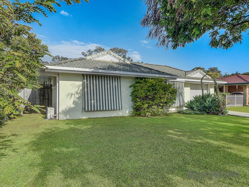 Photo - 7 Elm Crescent, Bracken Ridge QLD 4017 - Image 7