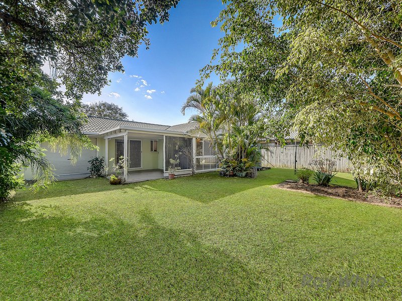 Photo - 7 Elm Crescent, Bracken Ridge QLD 4017 - Image 13