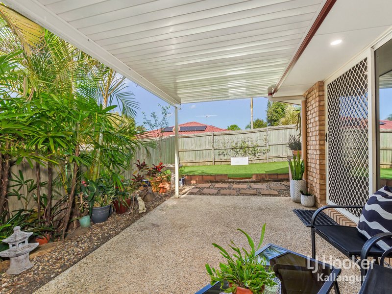 Photo - 7 Esk Place, Kallangur QLD 4503 - Image 13