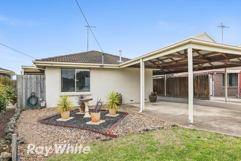 Photo - 7 Eucalypt Court, Corio VIC 3214 - Image 11