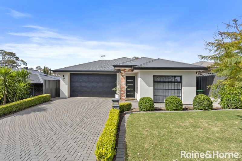 Photo - 7 Eucalypt Street, Mount Barker SA 5251 - Image 1