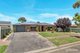 Photo - 7 Falcon Drive, Parafield Gardens SA 5107 - Image 2