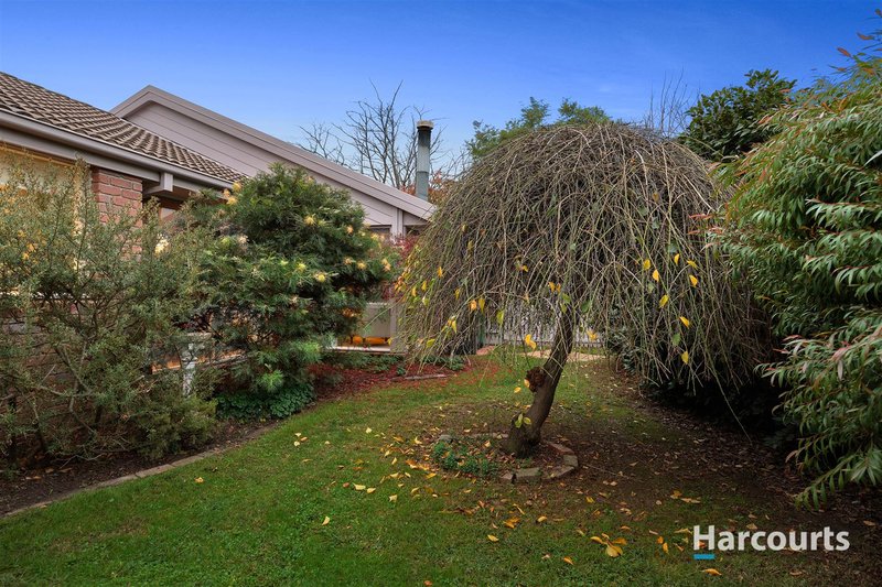 Photo - 7 Farmillo Court, Lysterfield VIC 3156 - Image 12