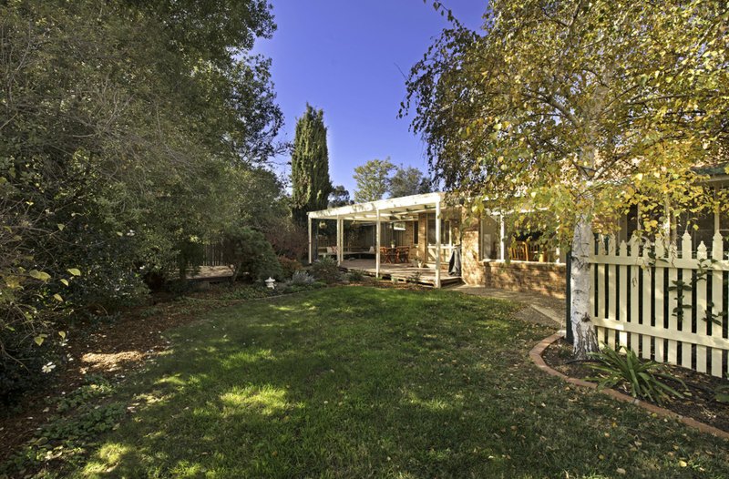 Photo - 7 Feathertop Street, Palmerston ACT 2913 - Image 20