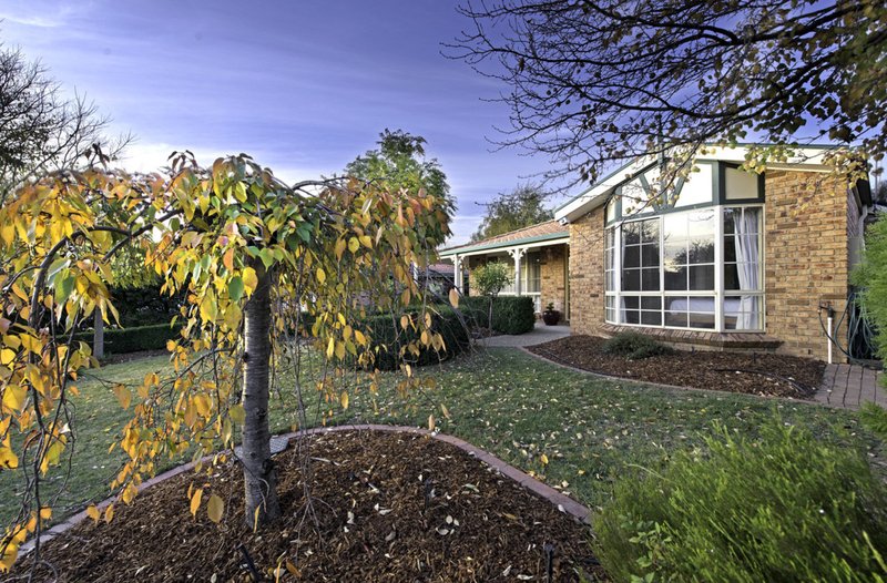 Photo - 7 Feathertop Street, Palmerston ACT 2913 - Image 21