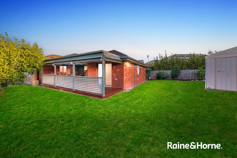 Photo - 7 Foxglove Court, Cranbourne North VIC 3977 - Image 11