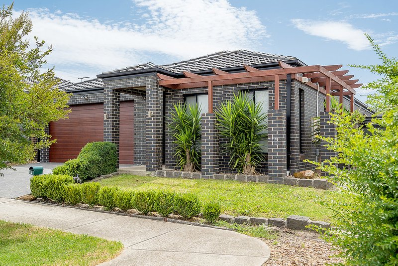 7 Galton Circuit, Craigieburn VIC 3064