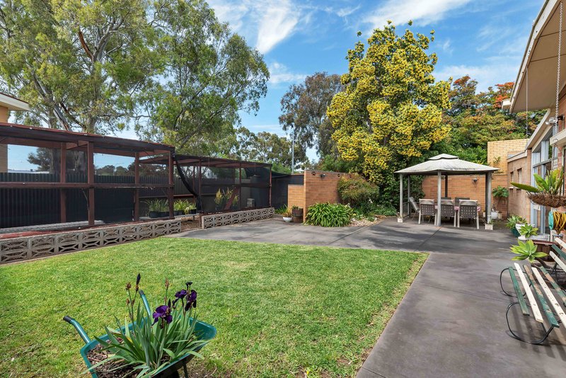 Photo - 7 Gaskin Road, Flinders Park SA 5025 - Image 19