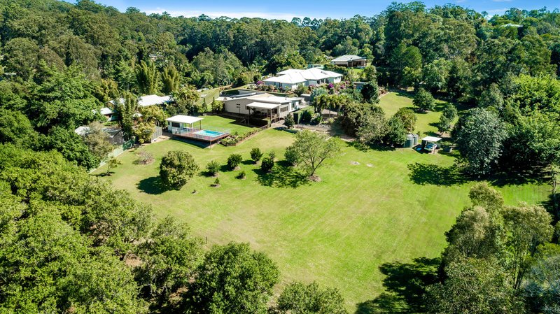 Photo - 7 Gipanni Place, Diddillibah QLD 4559 - Image 2