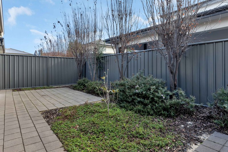 Photo - 7 Guineas Place, St Clair SA 5011 - Image 10