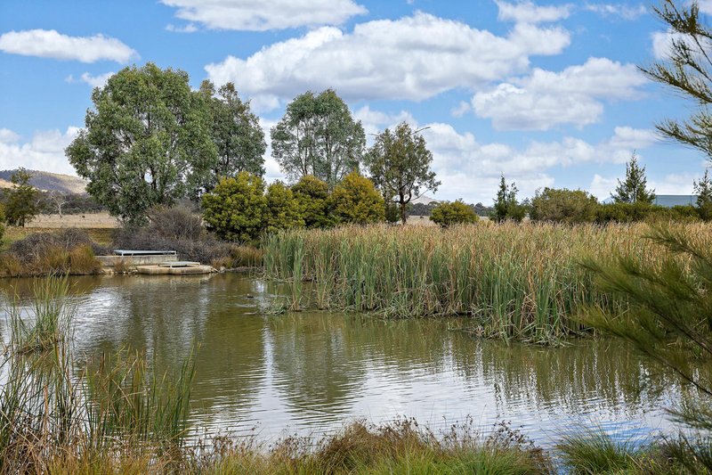 Photo - 7 Helby Street, Harrison ACT 2914 - Image 17