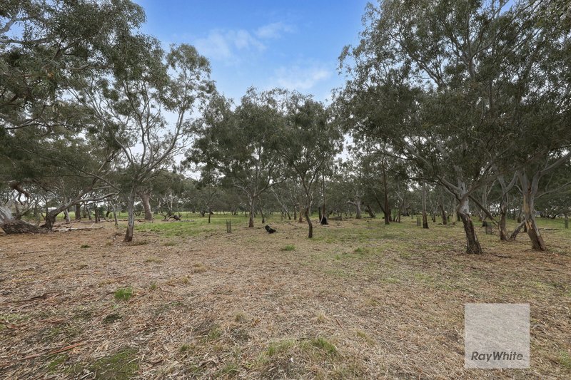 Photo - 7 Henna Avenue, Greenvale VIC 3059 - Image 15