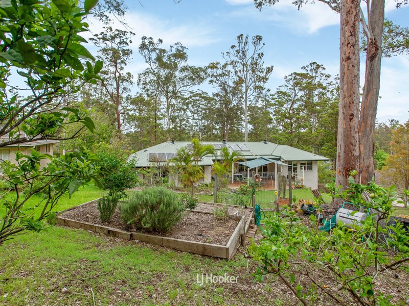 Photo - 7 Hilltop Parkway, Tallwoods Village NSW 2430 - Image 12