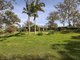 Photo - 7 Hillview Drive, Yarravel NSW 2440 - Image 8