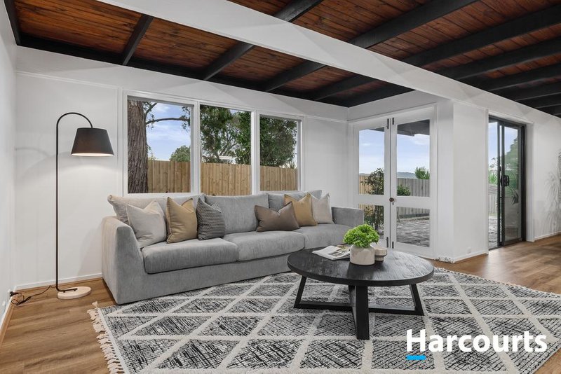 Photo - 7 Holyrood Drive, Vermont VIC 3133 - Image 3