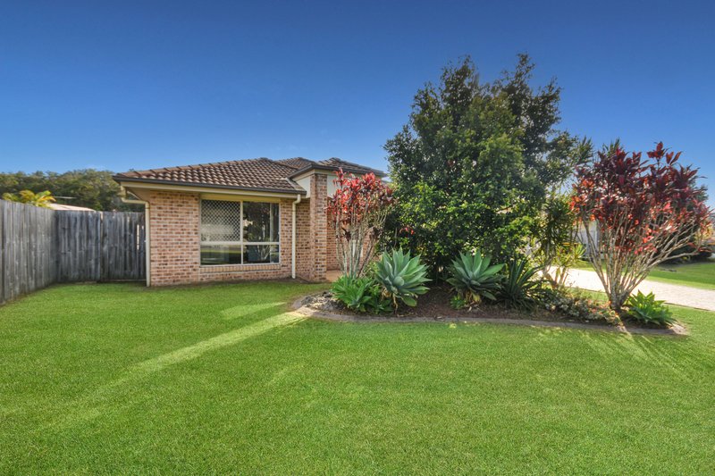 Photo - 7 Honeybee Place, Ningi QLD 4511 - Image 2