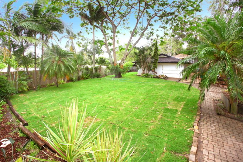 Photo - 7 Innes Avenue, Molendinar QLD 4214 - Image 4