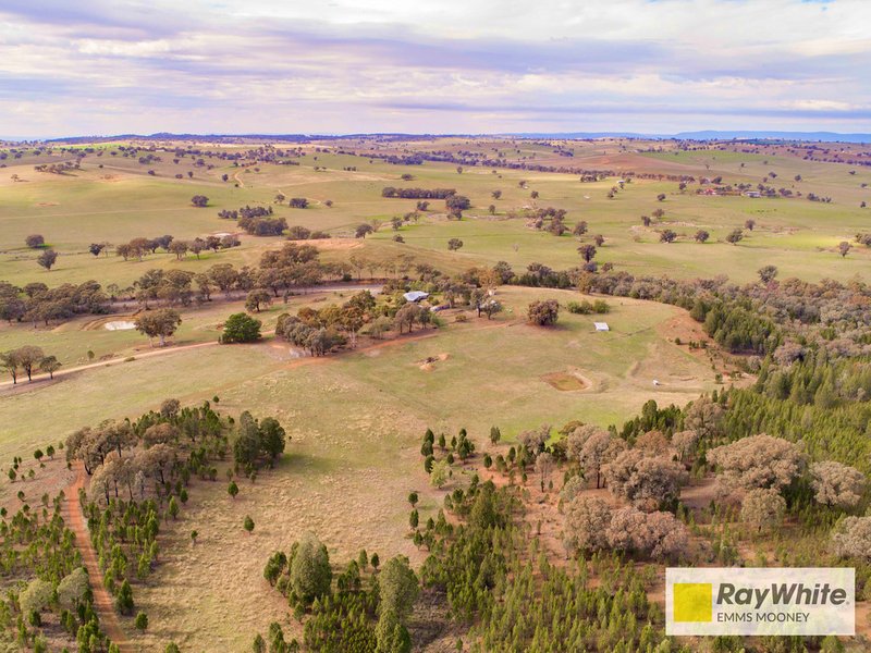 Photo - 7 Kangarooby Road, Cowra NSW 2794 - Image 12