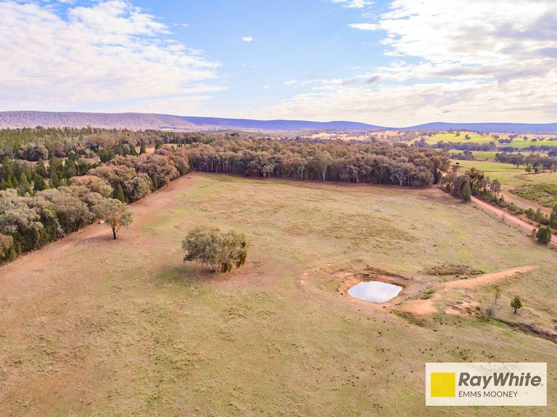 Photo - 7 Kangarooby Road, Cowra NSW 2794 - Image 14