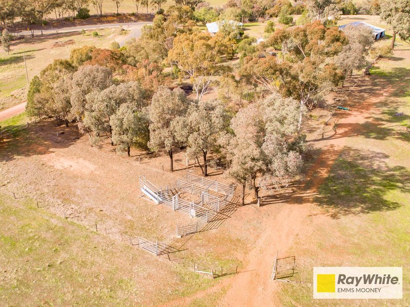 Photo - 7 Kangarooby Road, Cowra NSW 2794 - Image 16