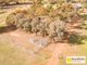 Photo - 7 Kangarooby Road, Cowra NSW 2794 - Image 16