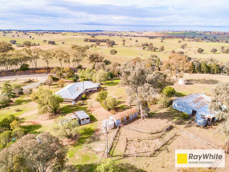 Photo - 7 Kangarooby Road, Cowra NSW 2794 - Image 17