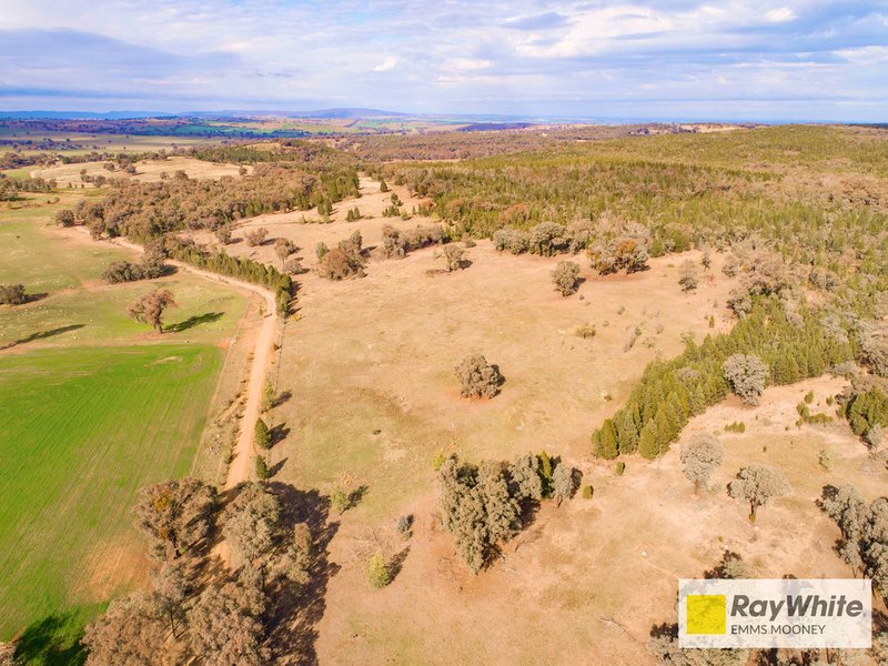 Photo - 7 Kangarooby Road, Cowra NSW 2794 - Image 19