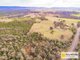 Photo - 7 Kangarooby Road, Cowra NSW 2794 - Image 21